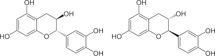 catechin