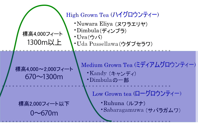 High Grown Tea