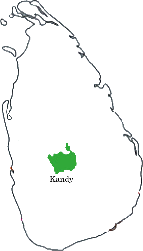 Kandy
