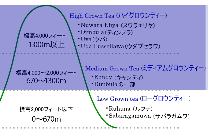 Low Grown Tea