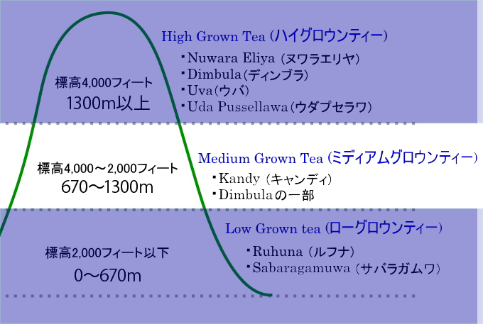 Medium Grown Tea