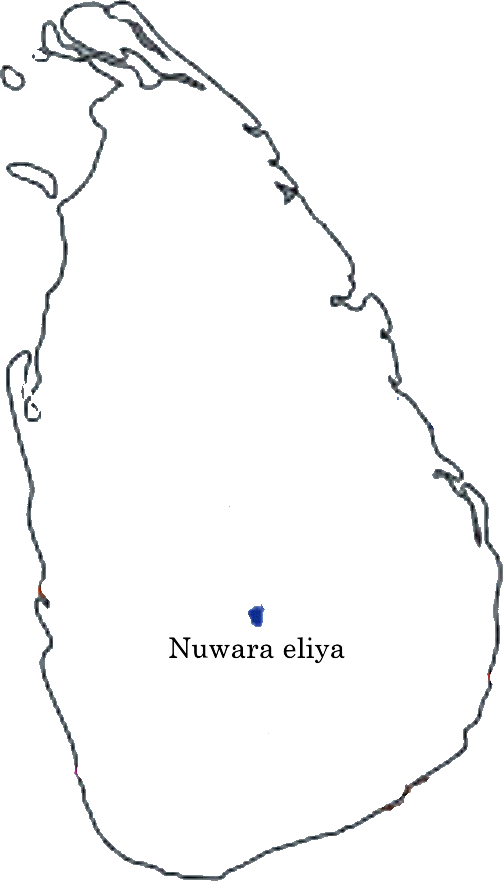 Nuwara eliya