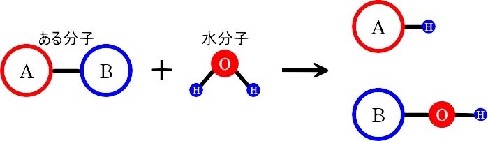 加水分解