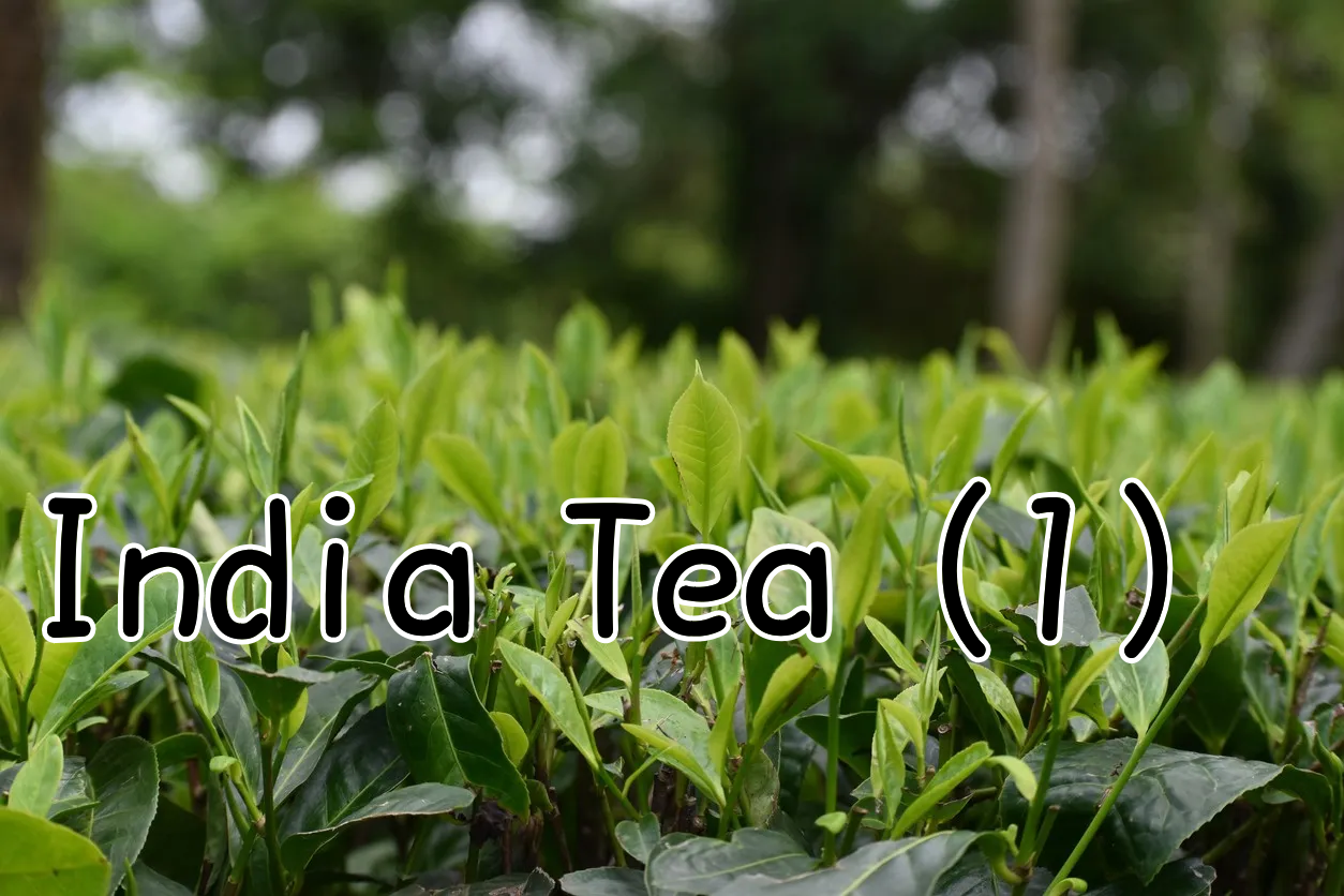 India tea (１) 歴史的概略