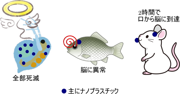 ティーバッグの安全性 (２)