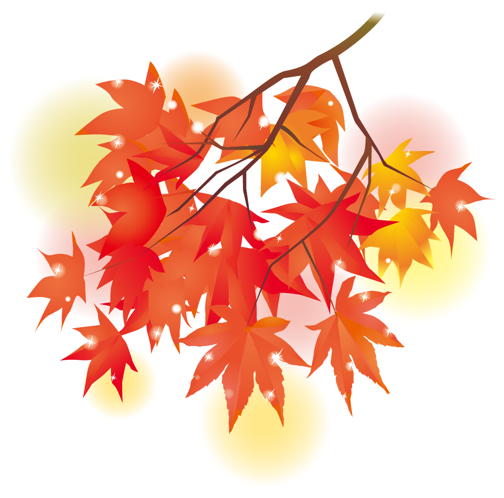 紅葉茶
