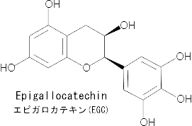 エピガロカテキン（EGC）の構造式。カテキン1分子。